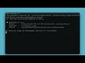 Extension js run Brave with -chromium-binary