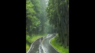 باران جاده طبیعت ترنم 