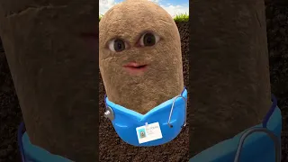 Антошка Картошка советы картофельного врача картошка 