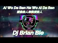 Download Lagu Ai Wo De Ren He Wo Ai De Ren  愛我的人和我愛的人  Remix by Dj Brian Bie