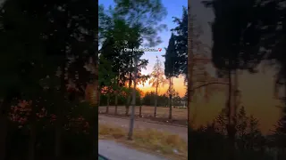 Cheb Lotfi Said Cheta Fewetah Bera Rai الظروف Automobile Musicformeditation 