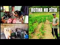 Lagu ROTINA NO SÍTIO: TRABALHO NA ROÇA E NA CASA NOVA