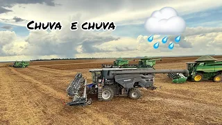 Ep. 390  Tenque fica esperto pra n atolar ! Colheita de soja indo pra reta final
