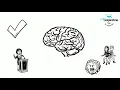 Structuralism vs Functionalism
