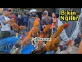 Download Lagu Dolan Pasar Pedan Klaten Terbaru || Komplit Banyak Pilihan Yang Biasa Ada ,Yang Super Jg Ada