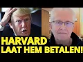 Download Lagu Trump lijdt een ONVERWACHTE NEDERLAAG nadat zijn aanval averechts werkt