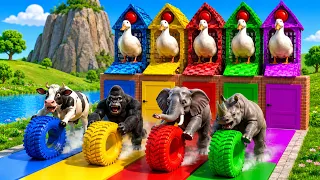 Ducks Kick Eggs… 5 Animals Appear & Start Epic Rescue Mission! 😱🔥| Long Slide Game | Animal Crossing