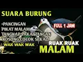 Download Lagu Suara Pikat Ruak KHUSUS MALAM Sangat cepat cocok untuk segala penjuru [] bird trap