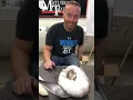 Learn Taxidermy Mounting A Flying Widgeon With Wildlife Illusion s Sculptor Cory Caruthers