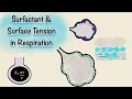 Download Lagu Surfactant and Surface Tension in Respiration | Breathing Mechanics | Respiratory Physiology