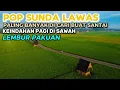 Lagu POP SUNDA LAWAS MERDU PALING ENAK DI DENGAR | BUAT MENGIRINGI SUASANA LEMBUR PAKUAN 