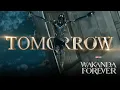 Marvel Studios Black Panther Wakanda Forever In Theaters Tomorrow Night