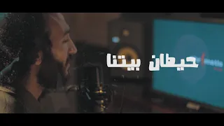 Mohamed El Gamal Cover Video محمد الجمل حيطان بيتنا 