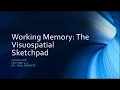 Cognition Lecture 4 5 The Visuospatial Sketchpad