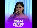 Download Lagu VIRAL TIK TOK! dinda dmb -Senja kelabu (Dinding pemisah)