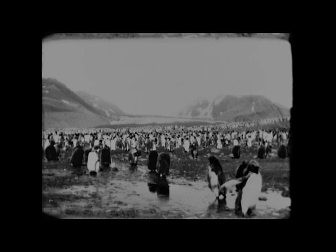 End Of Summer  - Trailer (Out now on Mubi & OST vinyl reissue)