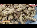 Ginger Washing Cutting Drying Machine Processing Technique of Ginger