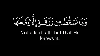 و م ا ت سۡق ط  م ن و ر ق ة  إ ل  ا ی عۡل م ه ا  كروم سوداء للتصميم قرآن  القارئ محمد صديق المنشاوي   دندنها
