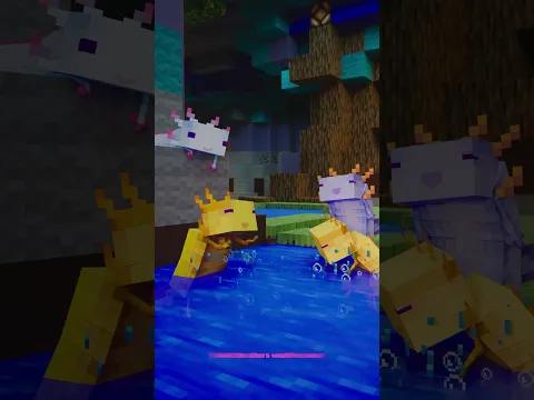Blue Minecraft Axolotl Meets A Turtle