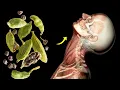 What Happens To Your Body When You Add Cardamom To Your Food Every Day