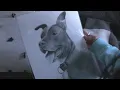 Blair County dog rescue speaks out on kennel licensing