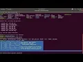 Pure Batch Files in Ubuntu - The Dos9 Project Review 2 Ubuntu terminal