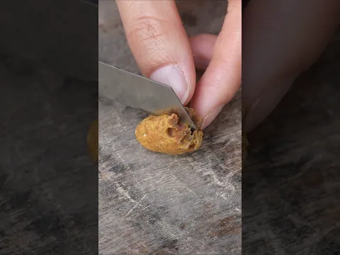 Split Open an Overdue Queen Cell... and Found Nothing