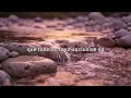 Babasonicos - Como Eran Las Cosas (Lyric Video)