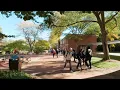 Welcome to UM-Dearborn