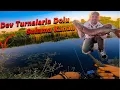 Download Lagu Bol Aksiyonlu Turna Avı | Dev Turnaların Olduğu Gizli Azmak Keşfettik #pikefishing