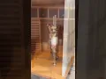 Vídeo do produto