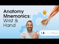 Learn Anatomy Upper Limb Anatomy Memory Aids for Wrist Hand Anatomy Made Easy
