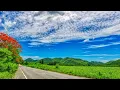 Kevin MacLeod - Move Forward