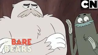 Momentos de Charlie e os ursos | Ursos sem Curso | Cartoon Network