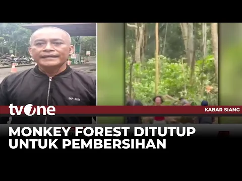 Pihak Monkey Forest Bali Tutup Sementara usai Dua Turis Tewas Tertimpa Pohon