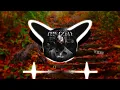 Polo G - Flex (ft. Juice WRLD) [BASS BOOSTED]🔊