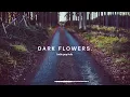 Ashley Kutcher - Love You From A Distance