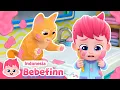 Lagu Boo, Kucing yang Jahil | Lagu Anak | Bebefinn Bahasa Indonesia