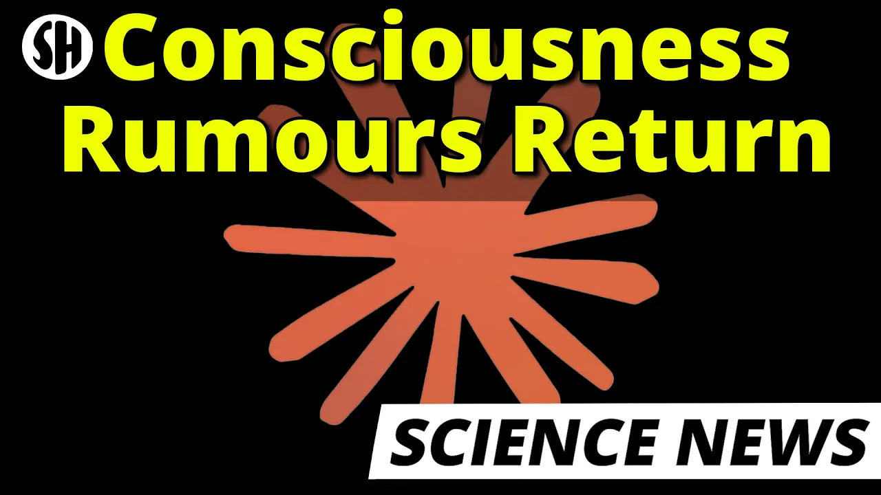 AI Might Be Conscious, But Not As We Thought: video thumbnail