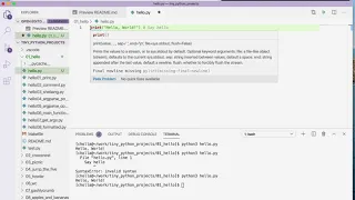 Tiny Python Projects Ch 1 Pt 2 adding comments