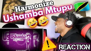 harmonize ushamba official audio reaction audio review