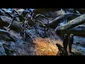 Spiders Attack Scene - You re Aragog