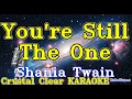 Download Lagu You're Still The One karaoke