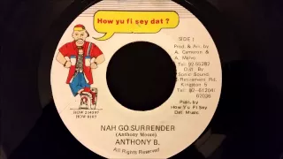 Download Anthony B - Nah Go Surrender - How Yu Fi Sey Dat 7\ MP3