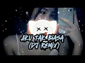 Lagu AKU TAK BIASA (DJ REMIX)