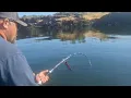 Jeremy handles a 9 foot sturgeon with his new Hellcat Revenge Patriot Rod from Catch The Fever