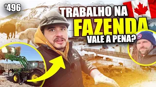 REALIDADE NO INTERIOR DO CANADÁ, caminho da JOB OFFER em FAZENDA! Alberta #496