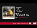 PUP - The Coast