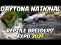 Download Lagu Daytona National Reptile Breeders' Expo 2025!