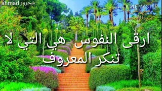 اقوال للعقول الراقية مع نغمة هادئة دندنها